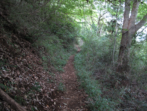 20151014hike (350)
